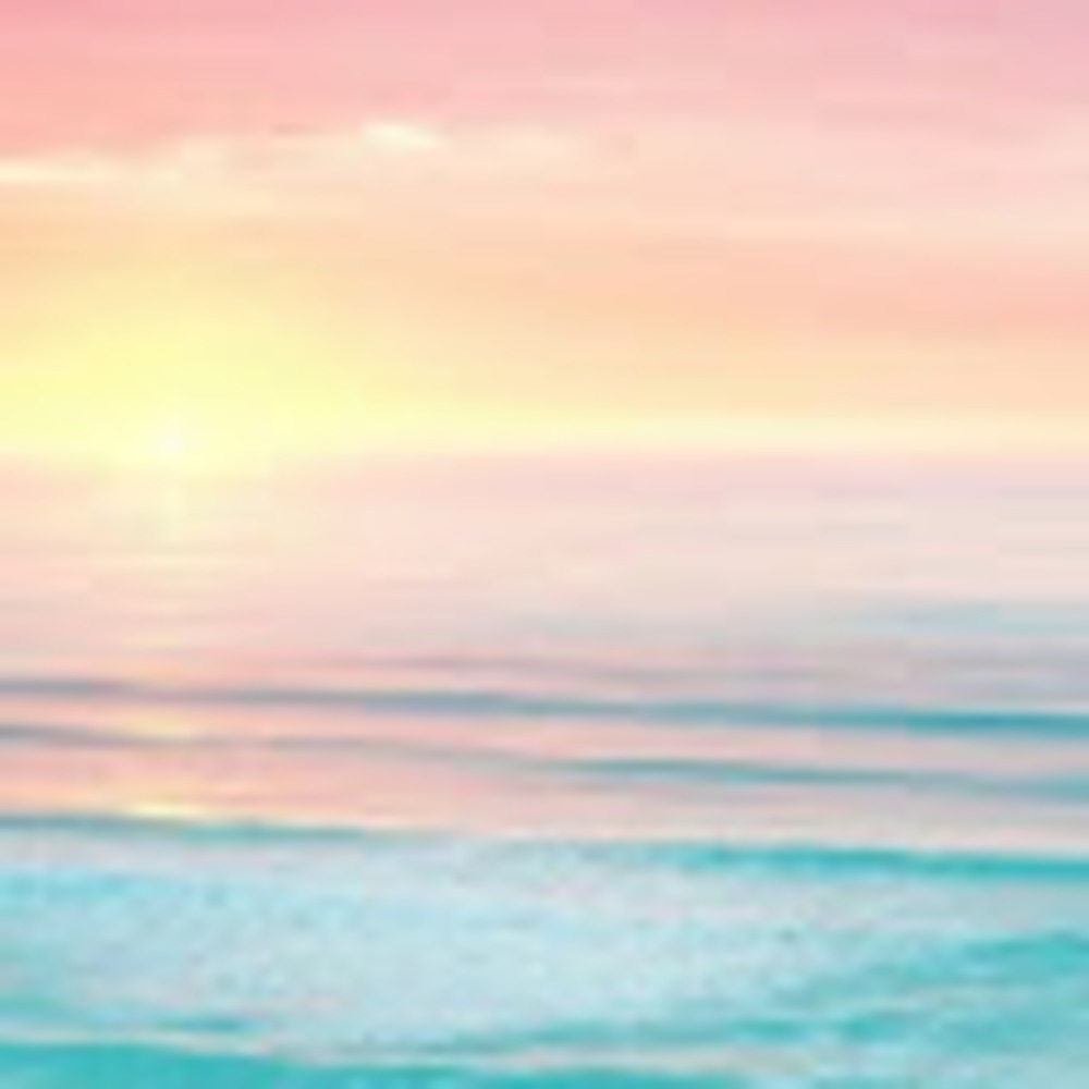 Meet your Posher, Kassidy